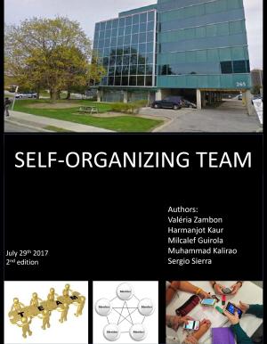 Cover of the book Self Management Team by Jennifer Bean, Lascelles Hussey