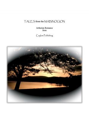 Cover of the book Tales from the Mabinogion by Joe Derkacht