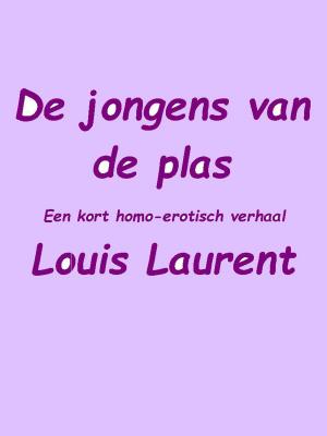 Cover of the book De jongens van de plas by Louis Laurent