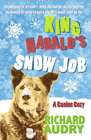 Cover of the book King Harald's Snow Job by Tony Park
