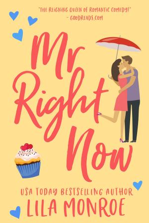Book cover of Mr Right Now