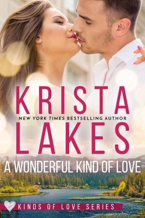 Cover of the book A Wonderful Kind of Love by Krista Lakes