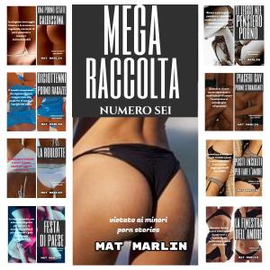 Cover of Mega raccolta numero sei (porn stories)