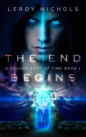 Cover of the book The End Begins by Jeffrey Kosh