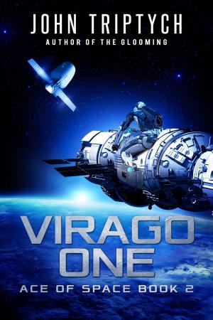 Cover of the book Virago One by John Triptych