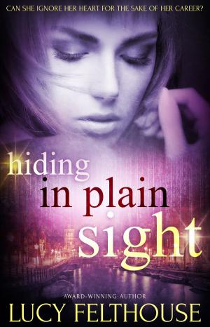 Cover of the book Hiding in Plain Sight by DP Scott
