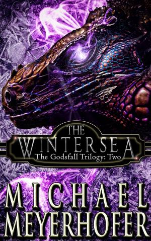 Cover of the book The Wintersea by Kris James