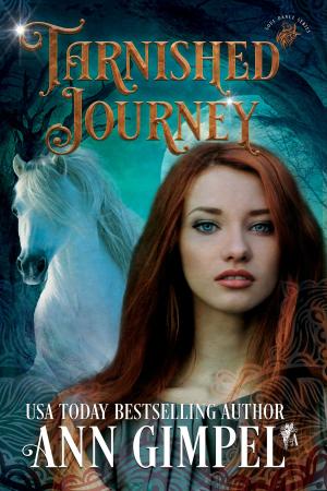 Cover of the book Tarnished Journey by Christine Michels