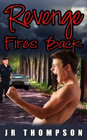 Cover of the book Revenge Fires Back by Elizabeth Reyes