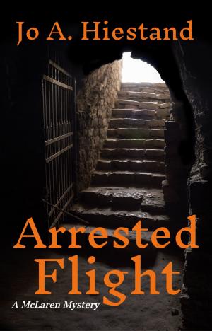 Cover of the book Arrested Flight by David Burns