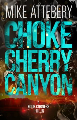 Book cover of Chokecherry Canyon
