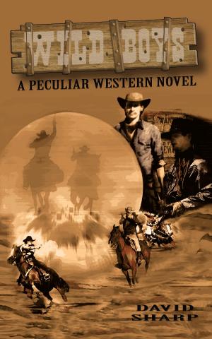 Cover of the book Wild Boys - A Peculiar Western Novel by Robyn Donald