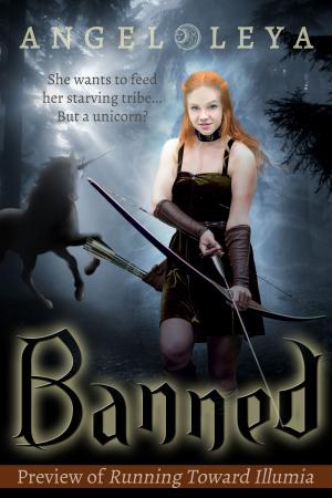 Cover of the book Banned by Kathy Cyr