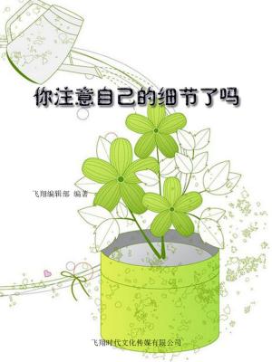 Cover of the book 你注意自己的细节了吗 by Shanti Atma