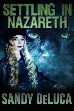 bigCover of the book Settling in Nazareth by 