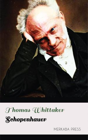 Cover of the book Schopenhauer by Pünkösti Árpád