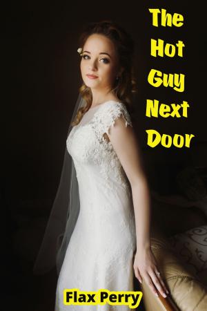 Cover of the book The Hot Guy Next Door by William Morris, Theric Jepson, D.J. Butler, Lori Taylor, Anneke Garcia, Marion Jensen, Eric A. Eliason, Inari Porkka, David J. West, Lee Allred