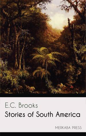 Cover of the book Stories of South America by Honoré de Balzac