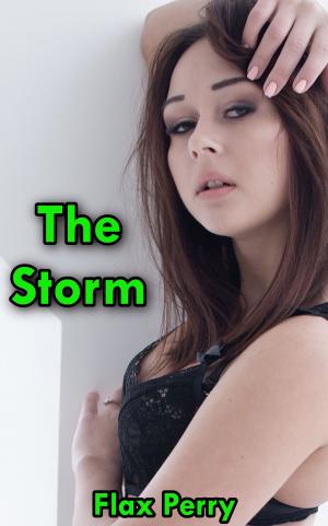 Cover of the book The Storm by G. K. Chesterton