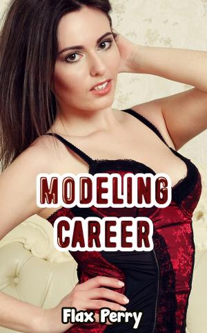 Cover of the book Modeling Career by Barsi Ödön