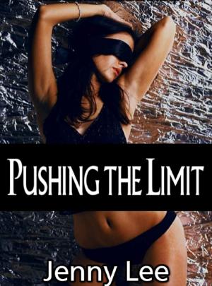 Cover of the book Pushing the Limit by Britt DeLaney