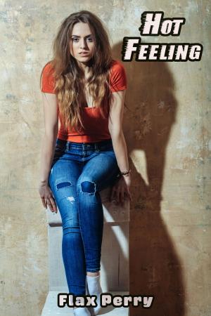 Cover of the book Hot Feeling by Viktor von Priapis