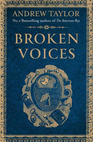 Book cover of Broken Voices (A Novella)