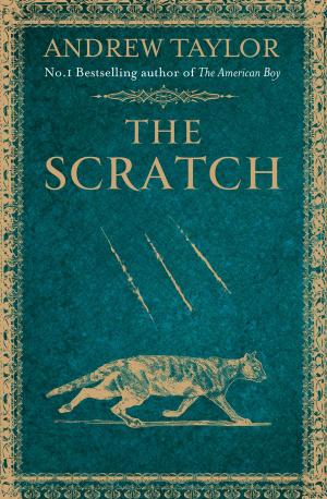 bigCover of the book The Scratch (A Novella) by 