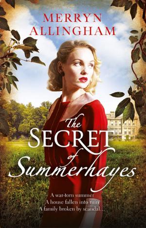 Cover of the book The Secret of Summerhayes by Mark Sperring