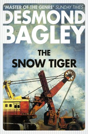 Cover of the book The Snow Tiger by Amy Bird