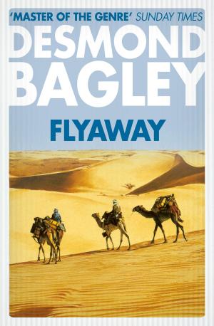 Cover of the book Flyaway by Paul Finch