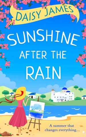 Cover of the book Sunshine After the Rain by Alexandra Brown