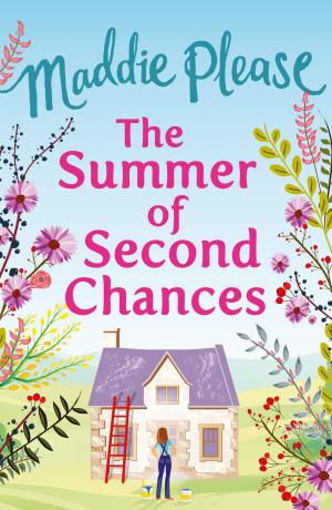 Cover of the book The Summer of Second Chances by T.M.E. Walsh