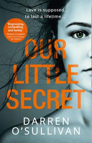 Book cover of Our Little Secret