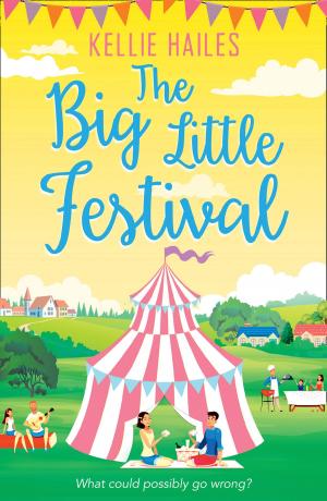 Cover of the book The Big Little Festival (Rabbit’s Leap, Book 2) by Sophie Cleverly