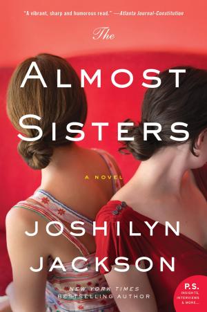 Cover of the book The Almost Sisters by L. Grubb