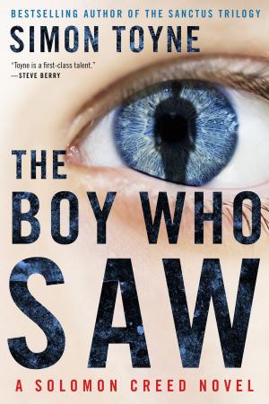 Cover of the book The Boy Who Saw by Nick Clark Windo