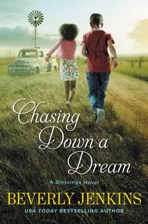Cover of the book Chasing Down a Dream by S. Daniel Abraham