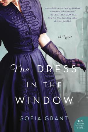 Cover of the book The Dress in the Window by Bill O'hanlon