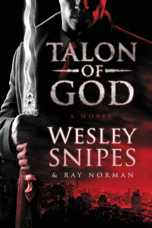 Cover of the book Talon of God by Michael Mammay