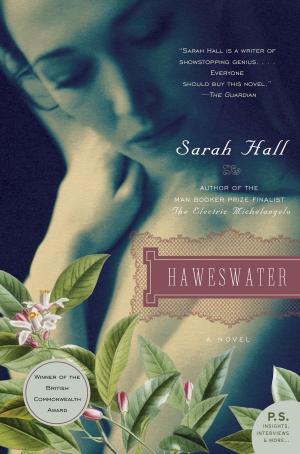 Cover of the book Haweswater by Sophia Al-Maria