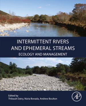 Cover of the book Intermittent Rivers and Ephemeral Streams by Ioan I. Vrabie