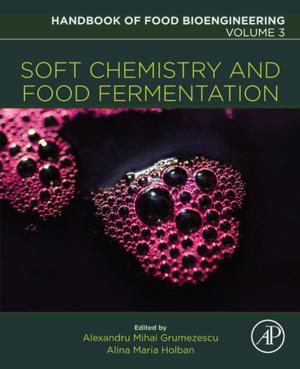 Cover of the book Soft Chemistry and Food Fermentation by Atif Memon