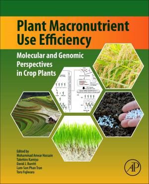 Cover of the book Plant Macronutrient Use Efficiency by Steve Finch, Alison Samuel, Gerry P. Lane