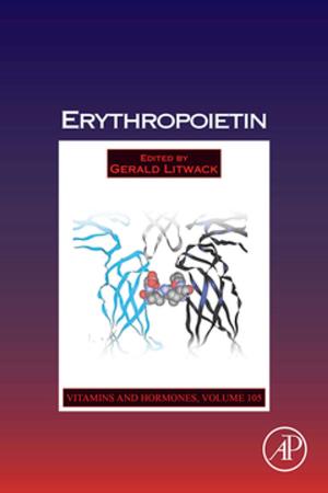 Cover of the book Erythropoietin by Valery I. Klyatskin