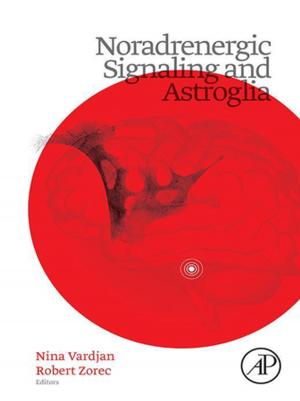 Cover of the book Noradrenergic Signaling and Astroglia by Richard Urbano