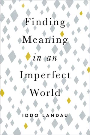 Cover of the book Finding Meaning in an Imperfect World by David Temperley