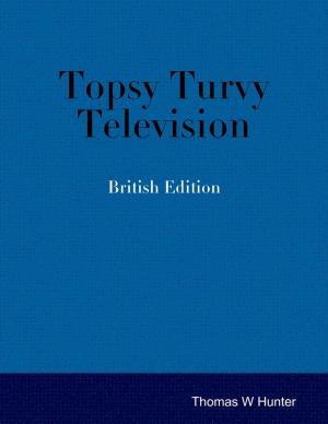 Cover of the book Topsy Turvy Television - British Edition by Jason Evans