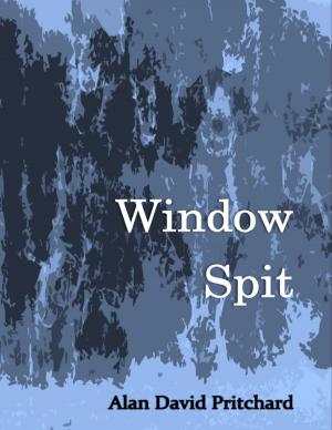 Cover of the book Window Spit by Duncan Williamson