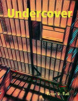 Cover of the book Undercover by Roy Whitlow